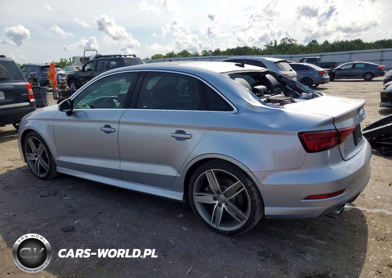 2019 Audi A3 Premium Plus VIN:WAUJEGFF7K1024462 - 2