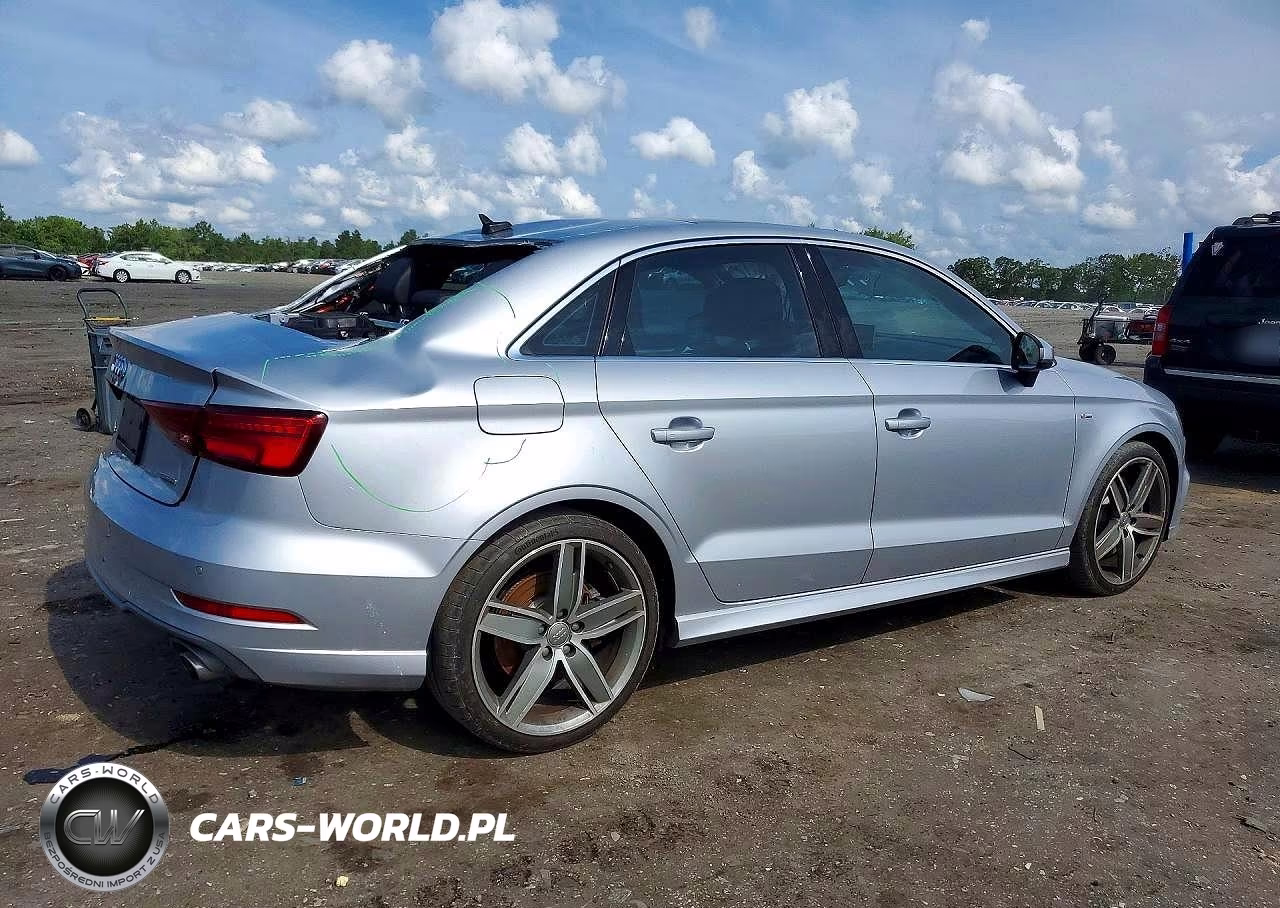 2019 Audi A3 Premium Plus VIN:WAUJEGFF7K1024462 - 3