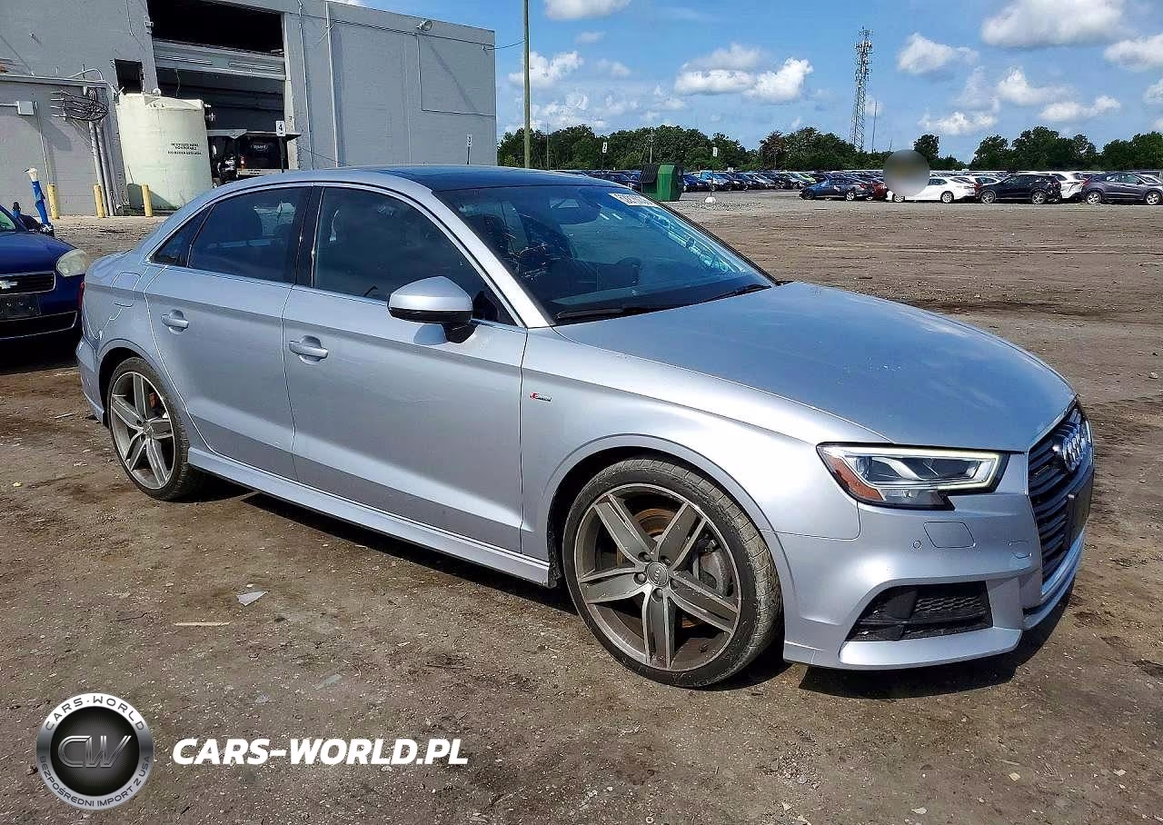 2019 Audi A3 Premium Plus VIN:WAUJEGFF7K1024462 - 4