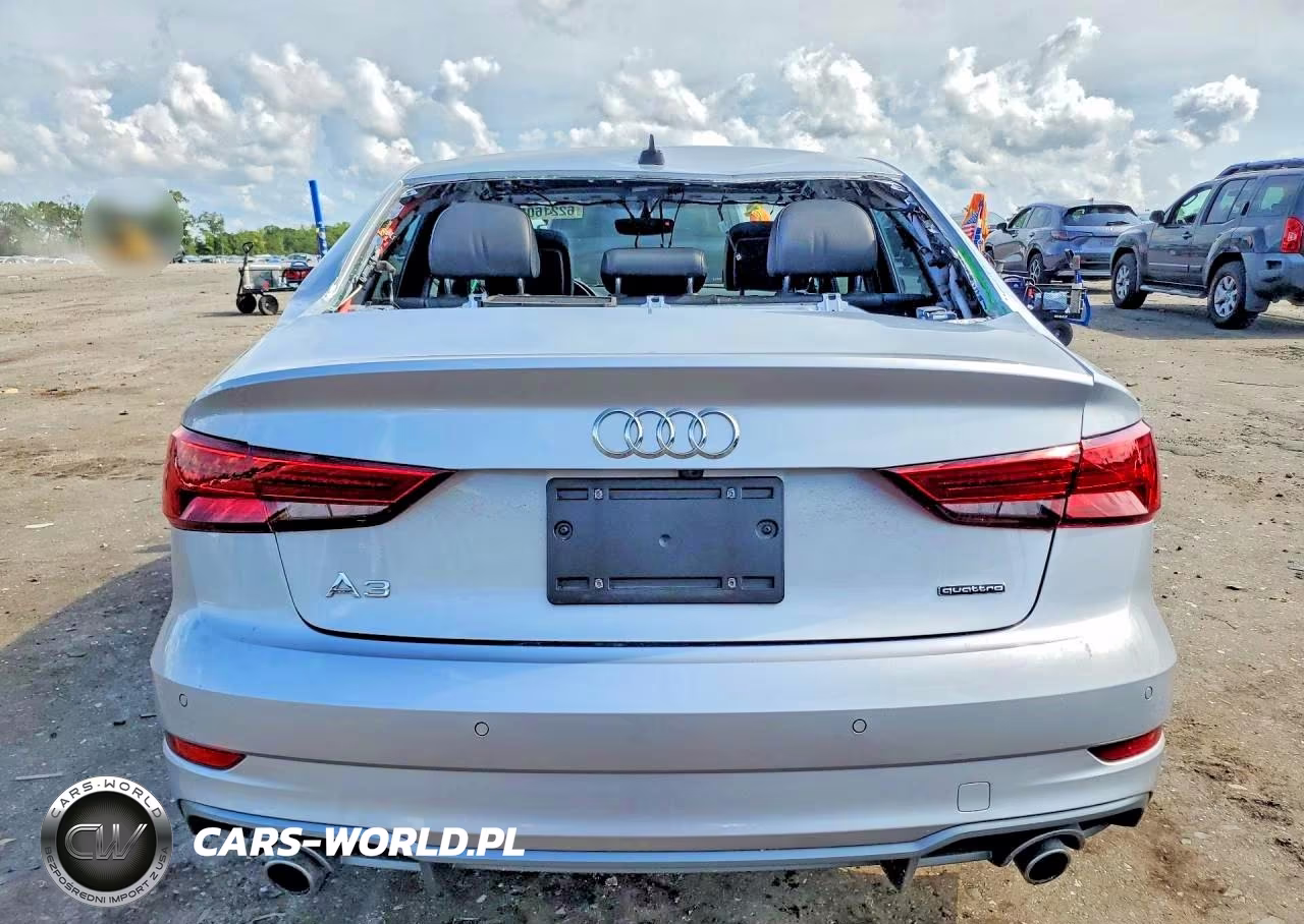 2019 Audi A3 Premium Plus VIN:WAUJEGFF7K1024462 - 6