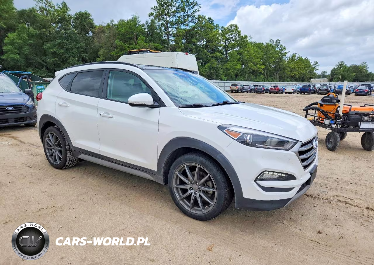 2018 Hyundai Tucson Value VIN:KM8J33A23JU806255 - 4
