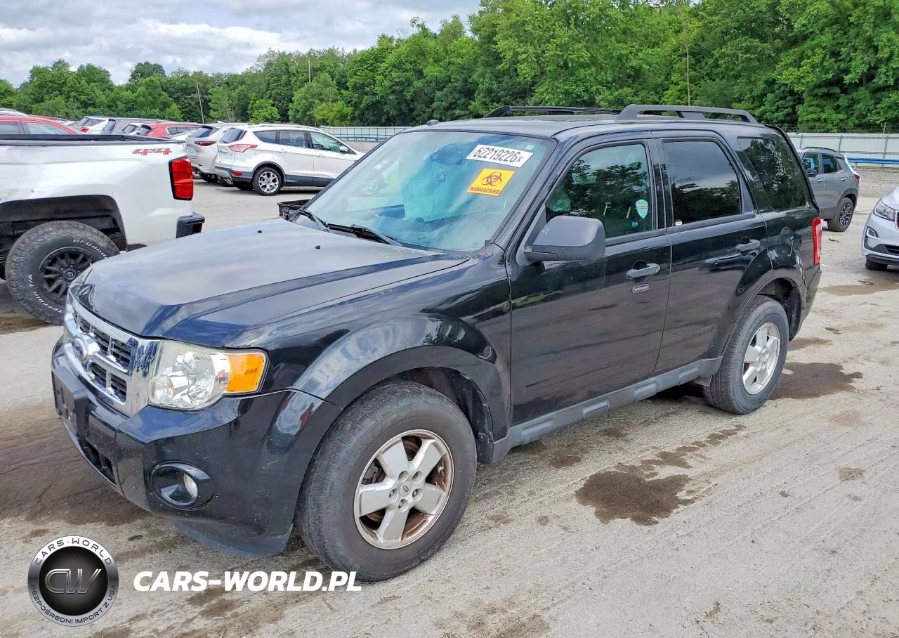 2010 Ford Escape Xlt