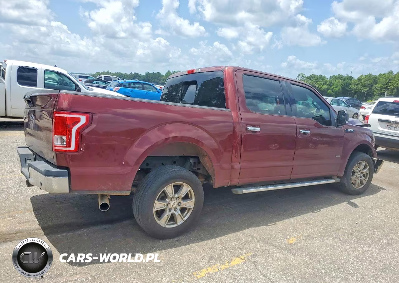 2016 Ford F150 Supercrew VIN:1FTEW1CP5GFC80136 - 3