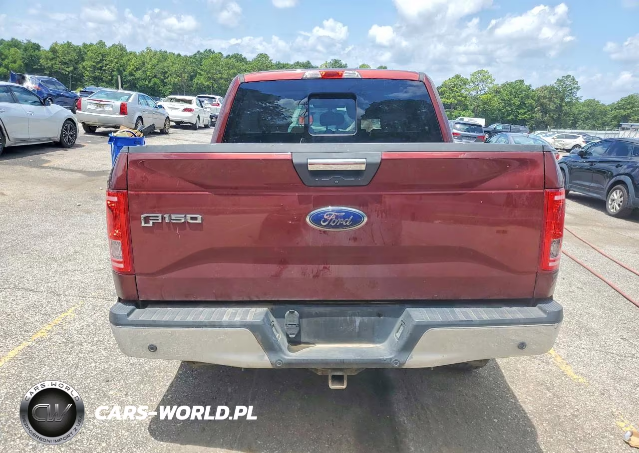 2016 Ford F150 Supercrew VIN:1FTEW1CP5GFC80136 - 6