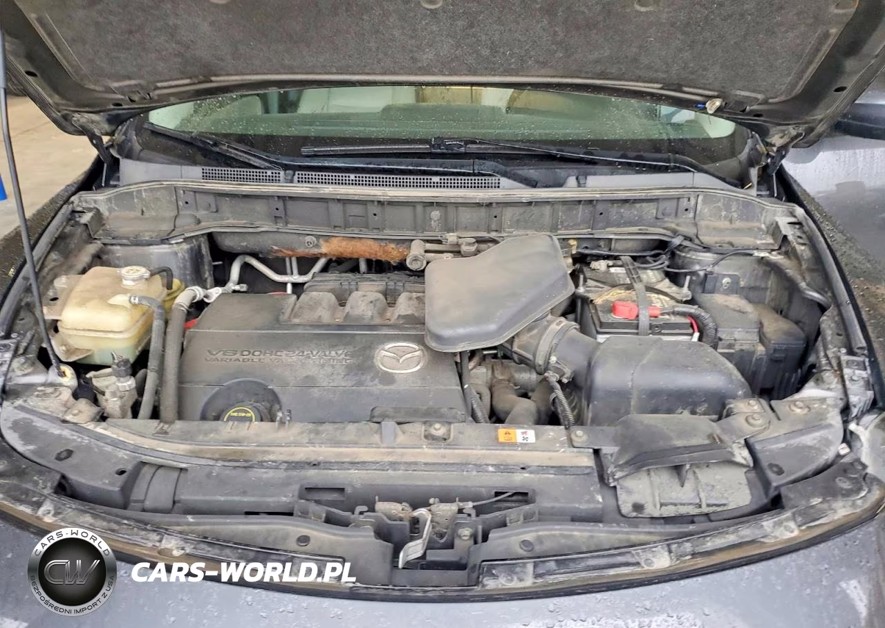 2013 Mazda Cx-9 Touring VIN:JM3TB3CA9D0411598 - 12