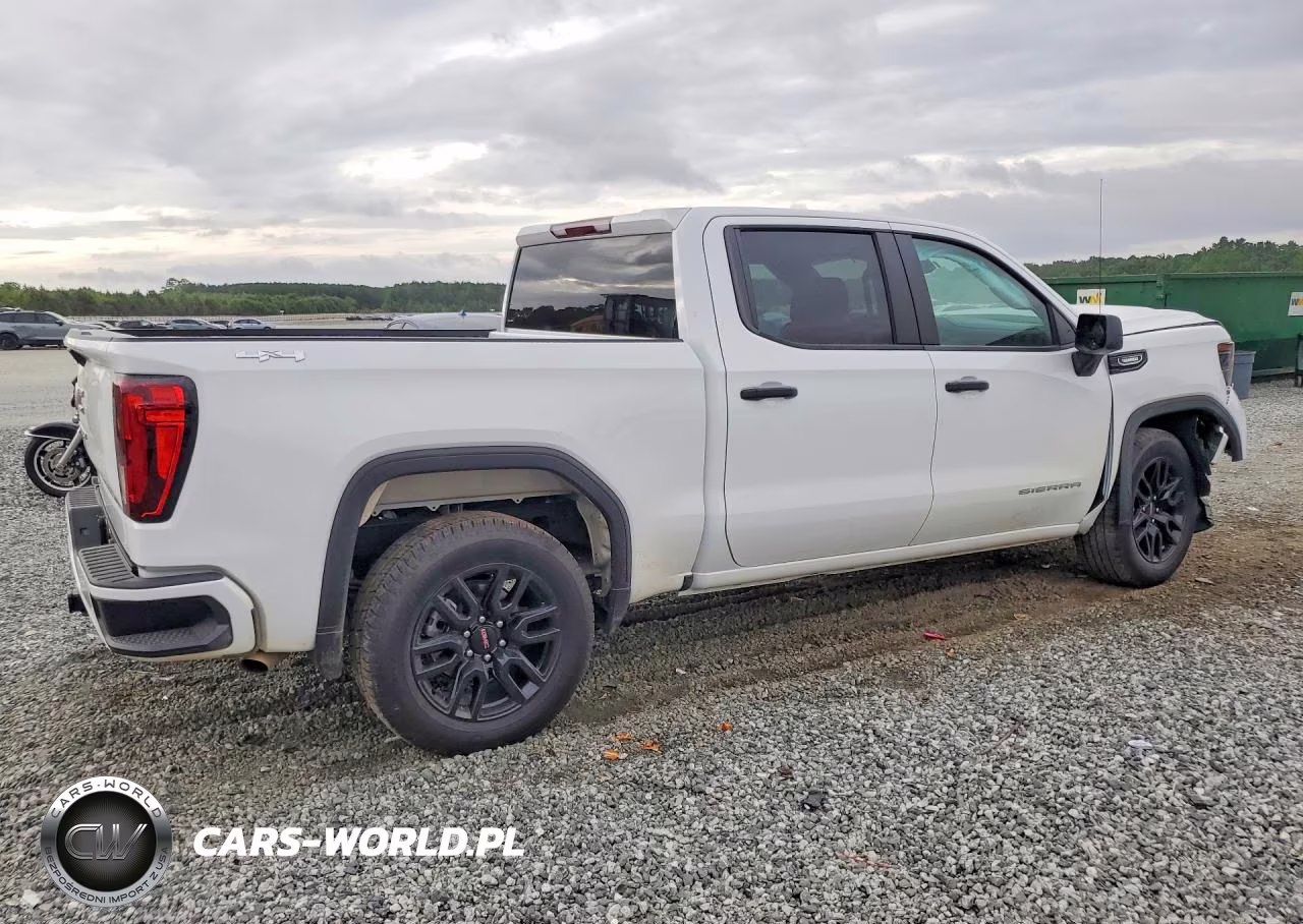 2025 GMC Sierra K1500 VIN:1GTPUAEK3SZ283723 - 3