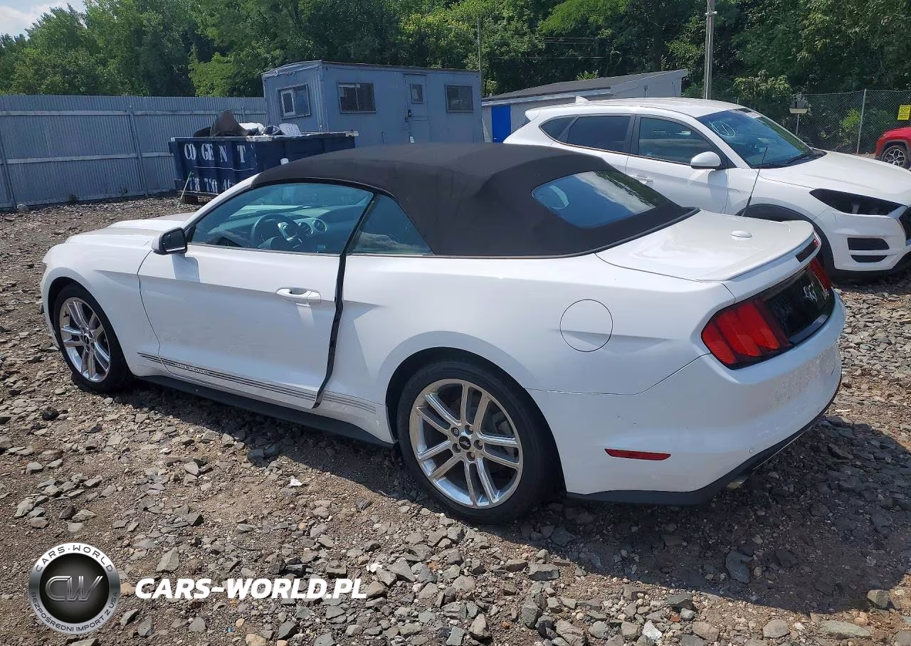 2017 Ford Mustang VIN:1FATP8UH7H5211966 - 2