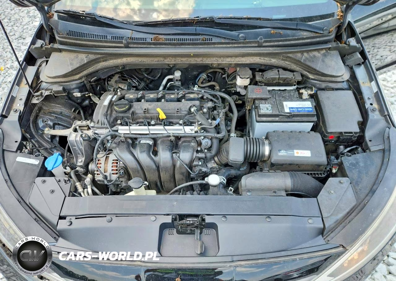 2019 Hyundai Elantra Sel VIN:KMHD84LF8KU854971 - 11