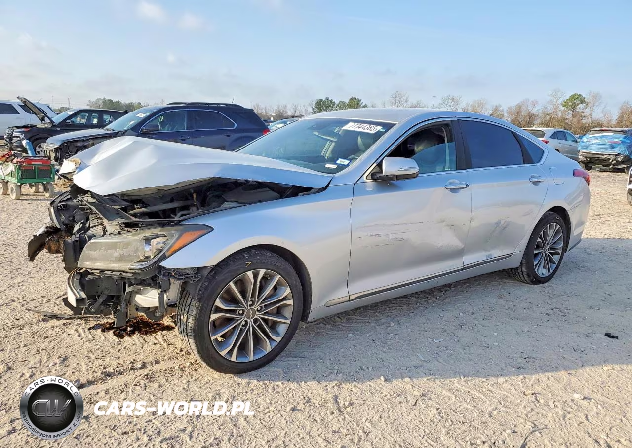 2015 Hyundai Genesis 3.8L VIN:KMHGN4JE6FU041246 - 1