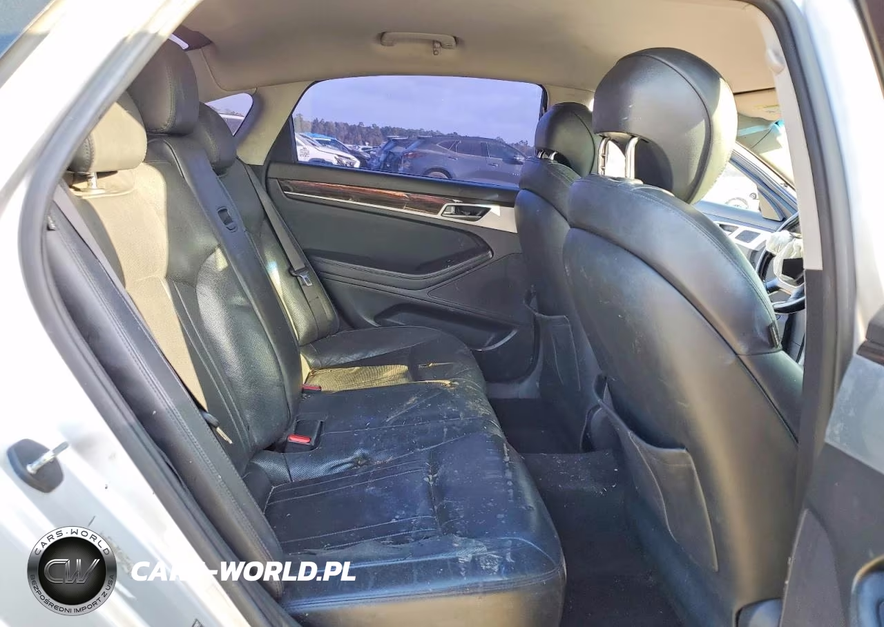 2015 Hyundai Genesis 3.8L VIN:KMHGN4JE6FU041246 - 10