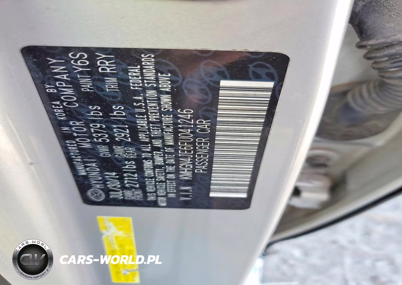 2015 Hyundai Genesis 3.8L VIN:KMHGN4JE6FU041246 - 13