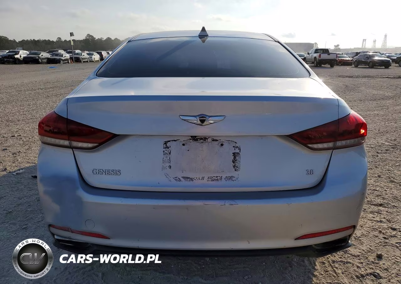 2015 Hyundai Genesis 3.8L VIN:KMHGN4JE6FU041246 - 6