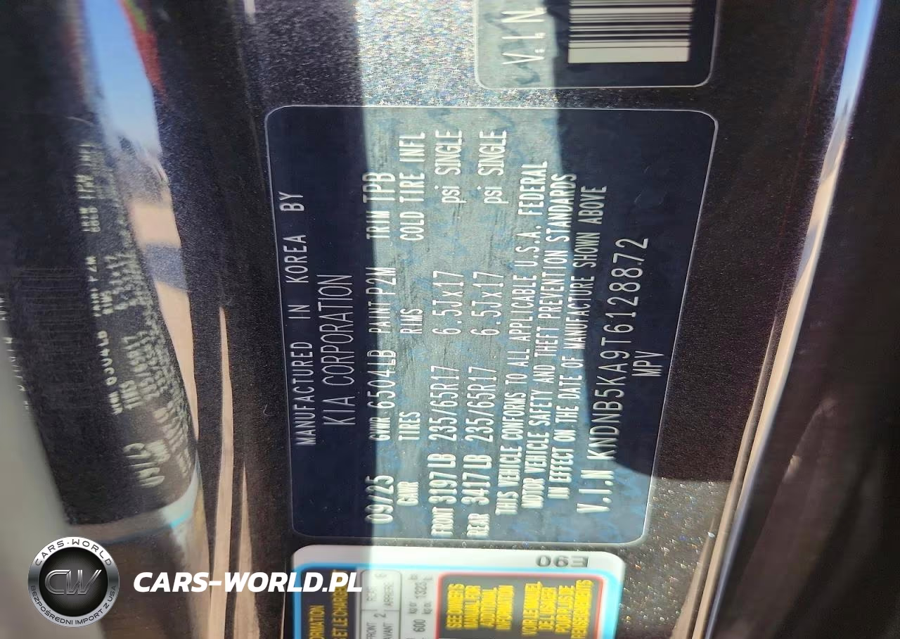 2026 Kia Carnival Mpv Hybrid Lxs VIN:KNDNB5KA9T6128872 - 13