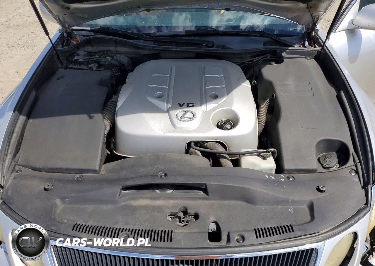 2006 Lexus Gs 300 VIN:JTHBH96S165045344 - 11