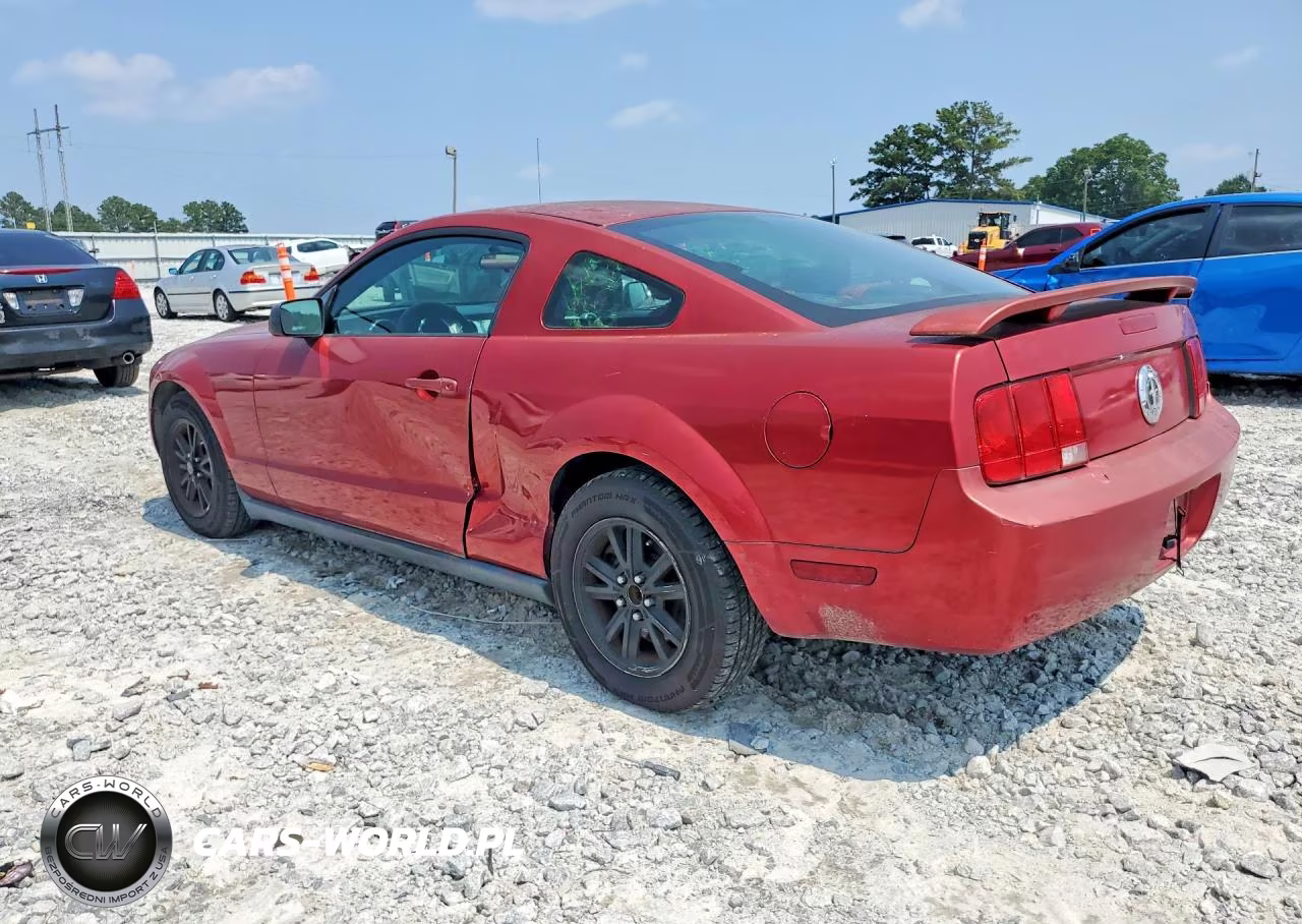 2005 Ford Mustang VIN:1ZVFT80N455147313 - 2