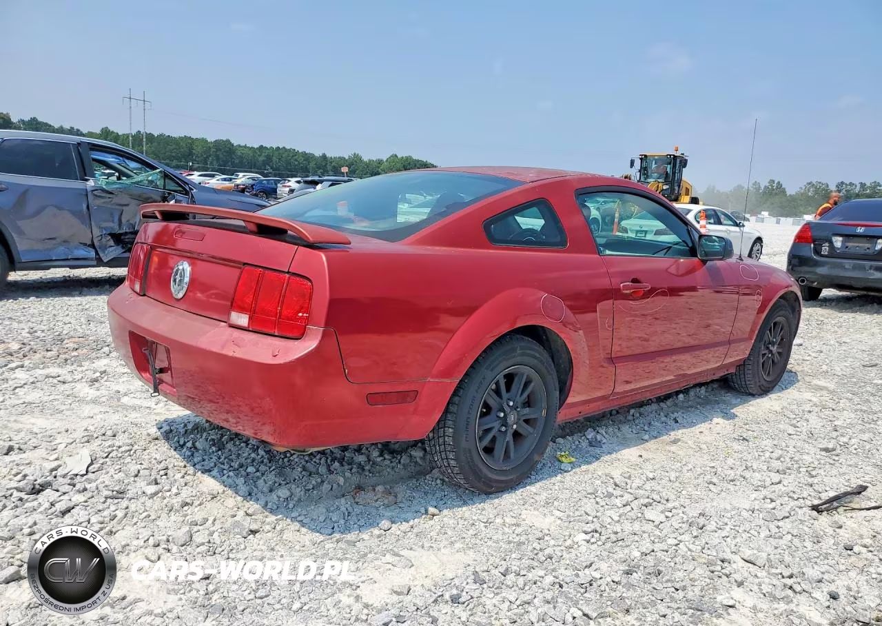 2005 Ford Mustang VIN:1ZVFT80N455147313 - 3