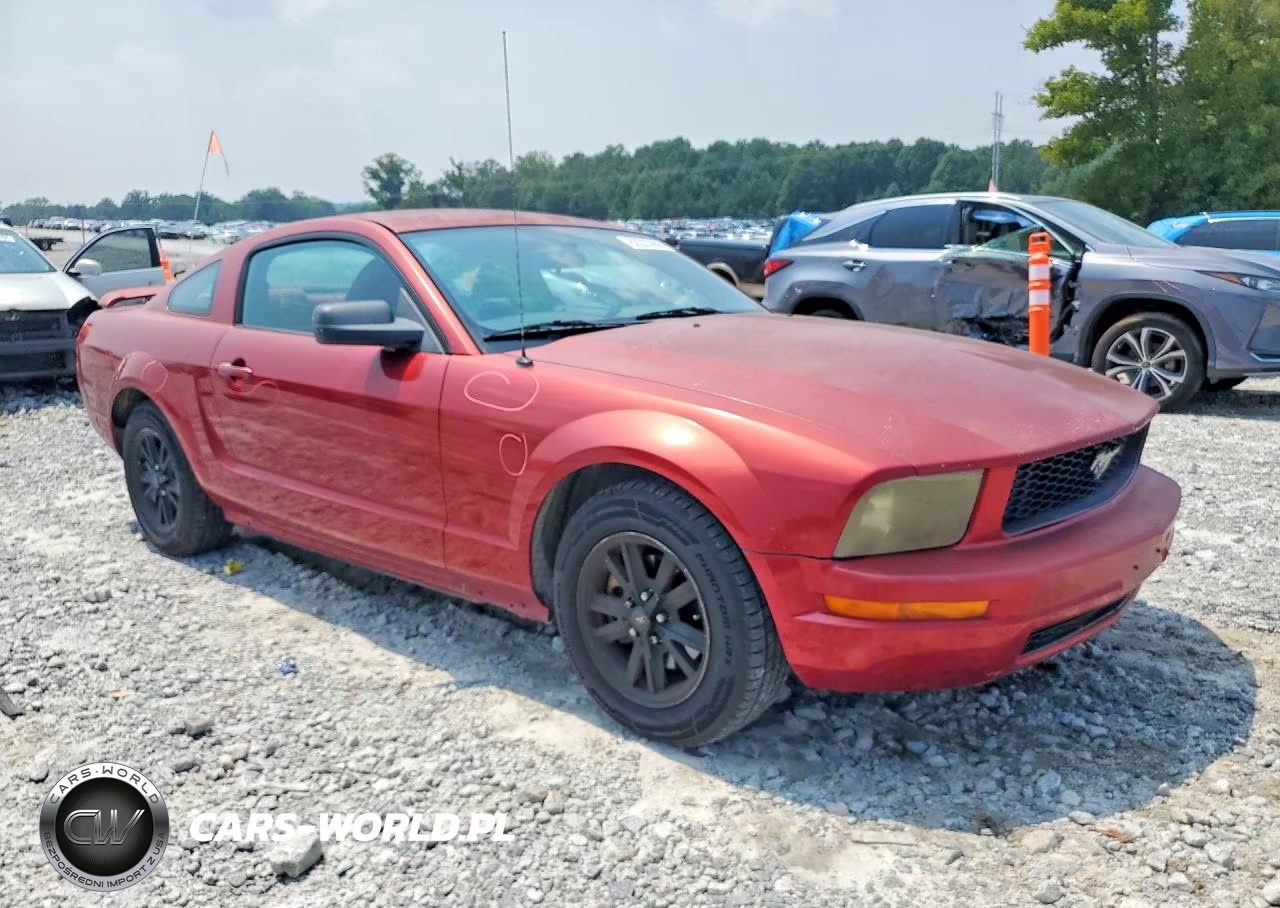 2005 Ford Mustang VIN:1ZVFT80N455147313 - 4