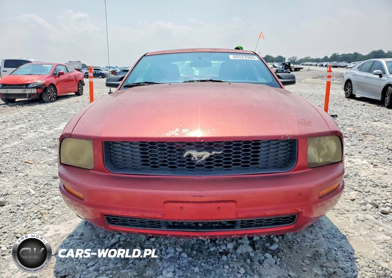 2005 Ford Mustang VIN:1ZVFT80N455147313 - 5