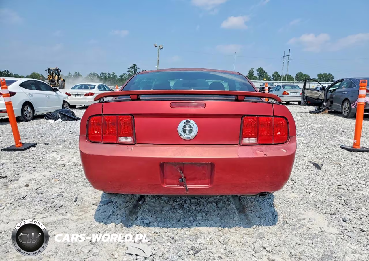 2005 Ford Mustang VIN:1ZVFT80N455147313 - 6