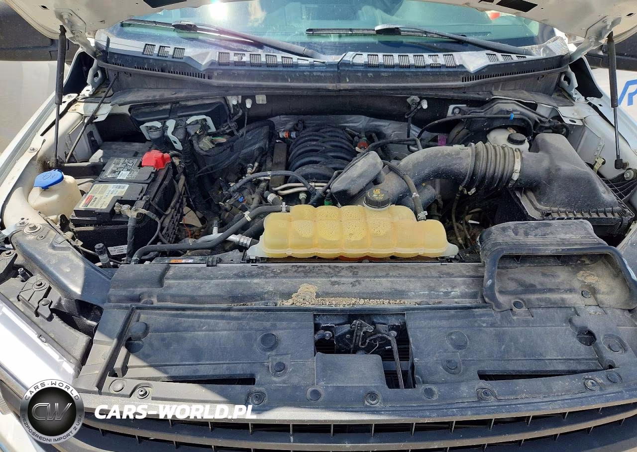 2020 Ford F150 Supercrew VIN:1FTFW1E59LKE36888 - 11