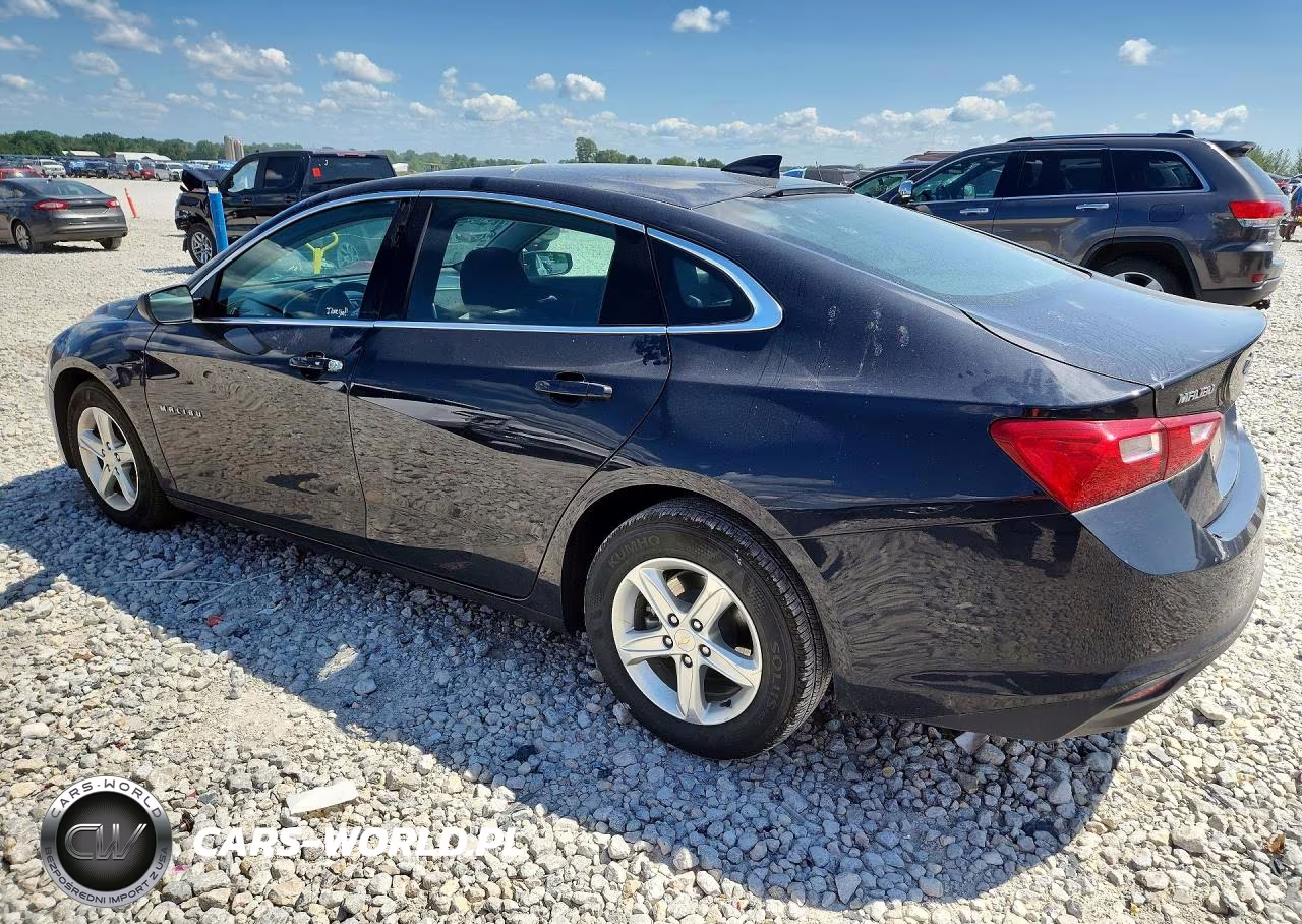 2023 Chevrolet Malibu Lt VIN:1G1ZD5STXPF207138 - 2