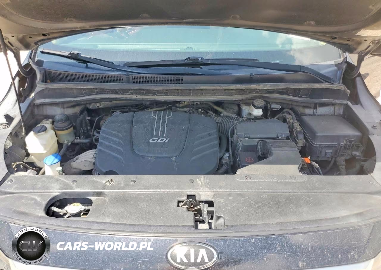 2015 Kia Sedona Ex VIN:KNDMC5C1XF6043261 - 12