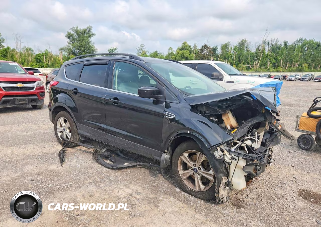2014 Ford Escape Se VIN:1FMCU9GX0EUD46036 - 4