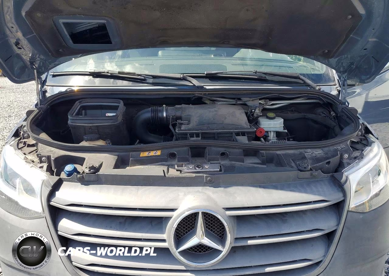 2019 Mercedes-Benz Sprinter 2500-3500 VIN:WD4PF1CD5KP124671 - 12