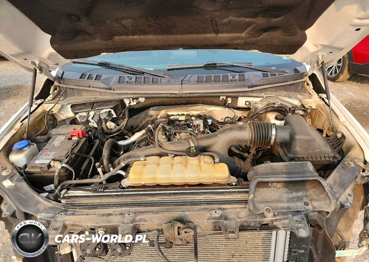 2020 Ford F150 Supercrew VIN:1FTEW1EP3LFB06525 - 11