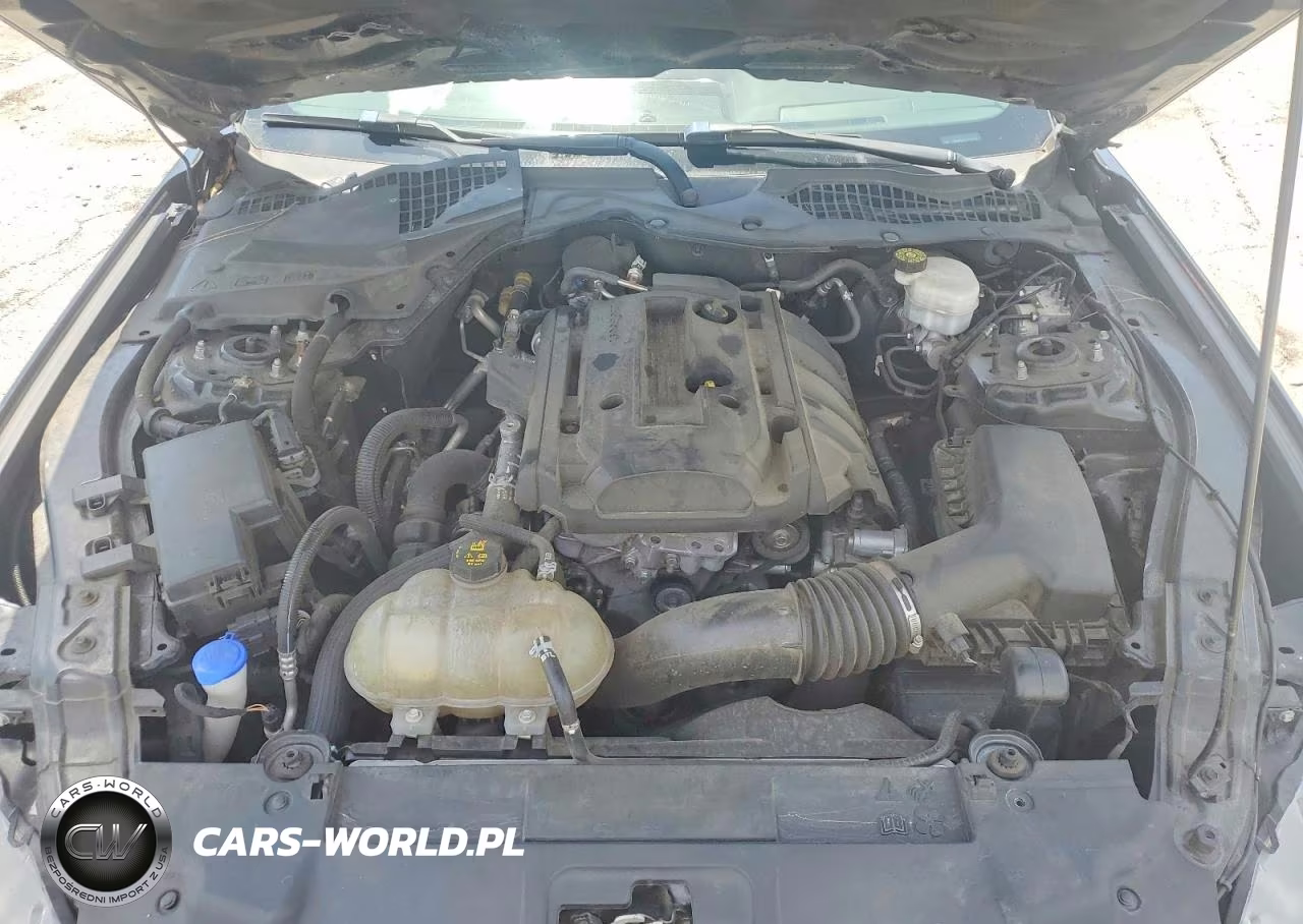 2020 Ford Mustang VIN:1FA6P8THXL5159367 - 11