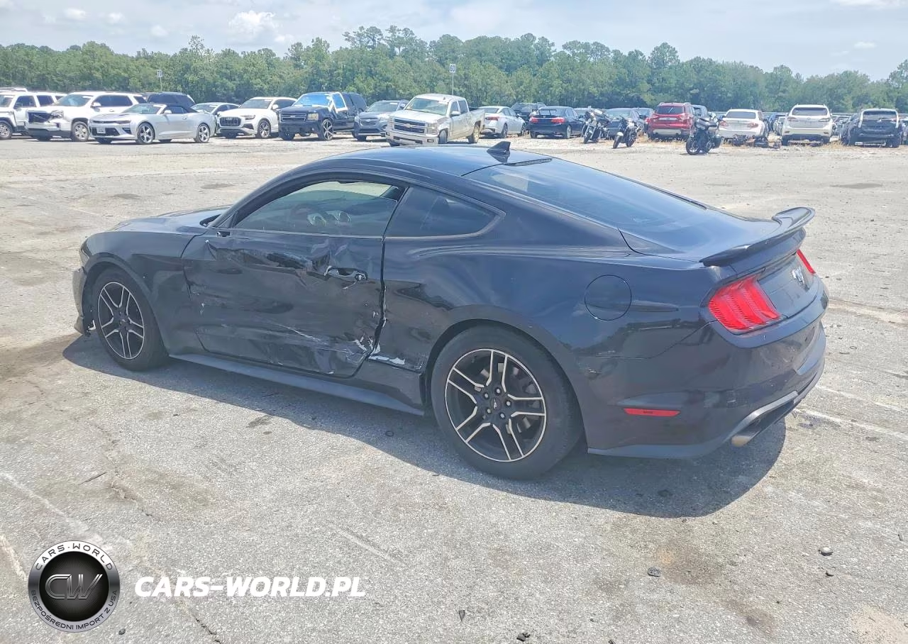 2020 Ford Mustang VIN:1FA6P8THXL5159367 - 2