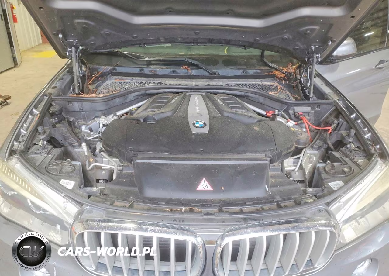 2015 BMW X5 xDrive50I VIN:5UXKR6C57F0J79136 - 12