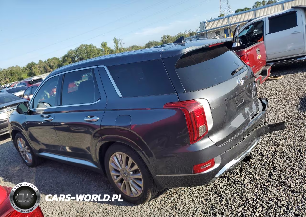 2020 Hyundai Palisade Limited VIN:KM8R54HE3LU079107 - 2