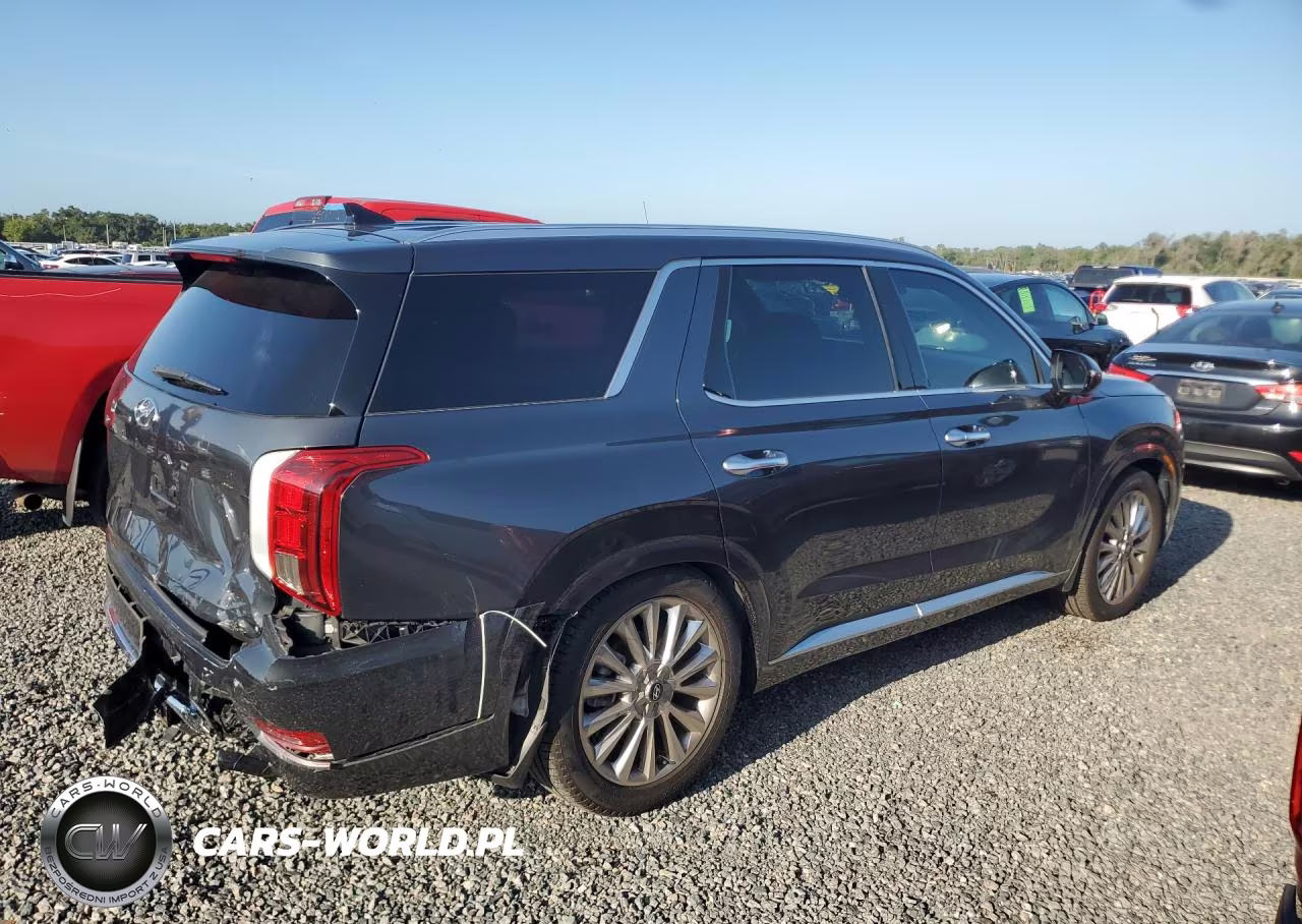 2020 Hyundai Palisade Limited VIN:KM8R54HE3LU079107 - 3