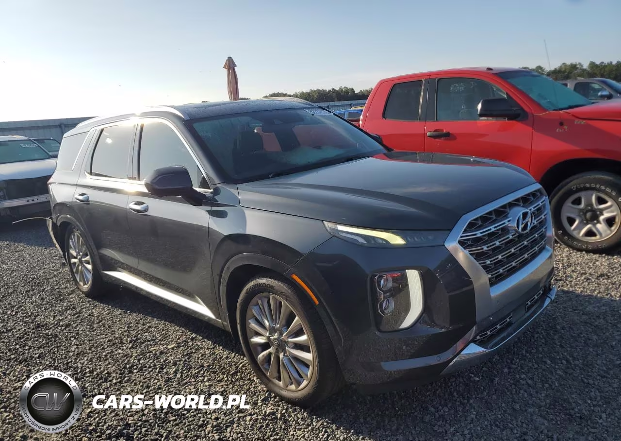 2020 Hyundai Palisade Limited VIN:KM8R54HE3LU079107 - 4