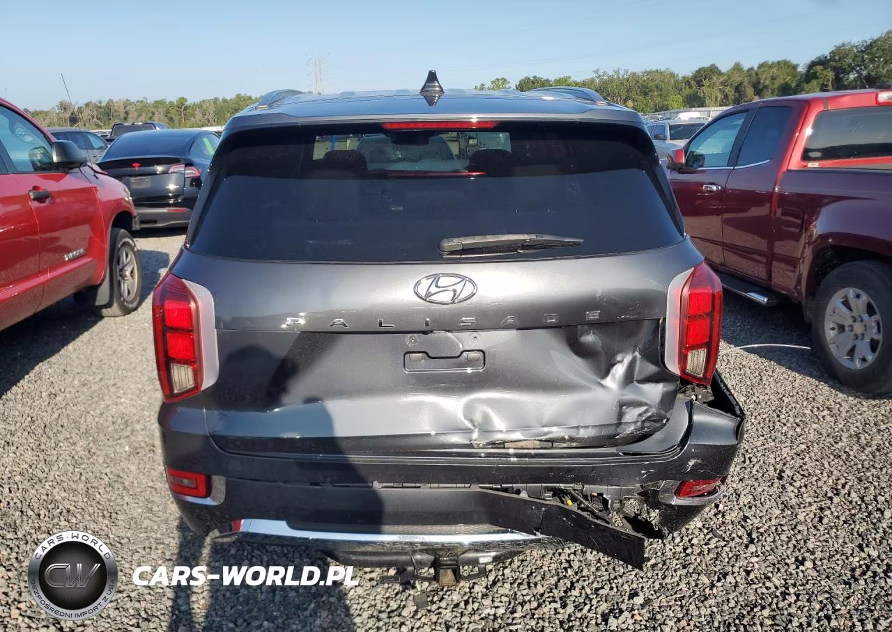2020 Hyundai Palisade Limited VIN:KM8R54HE3LU079107 - 6