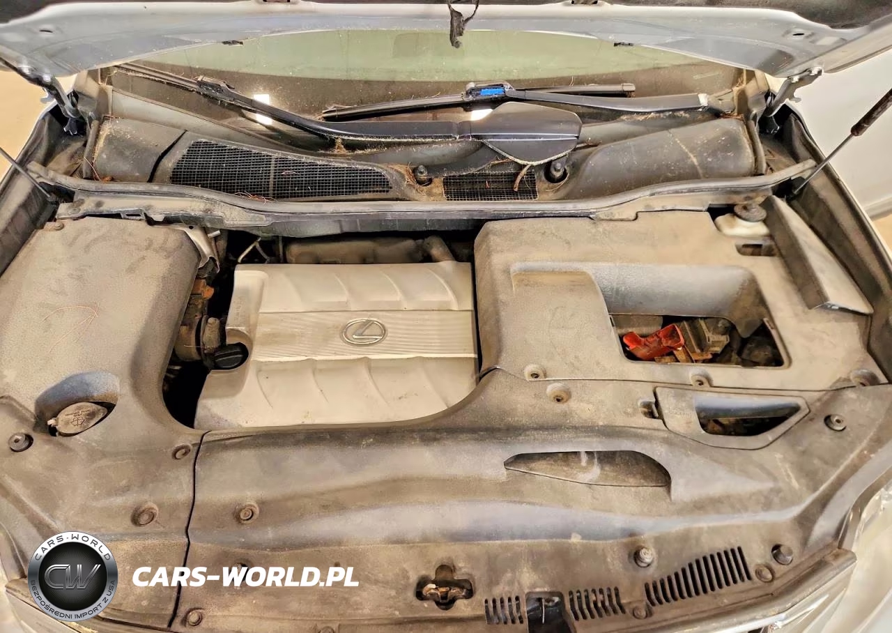 2010 Lexus Rx 350 VIN:2T2BK1BA1AC058426 - 12