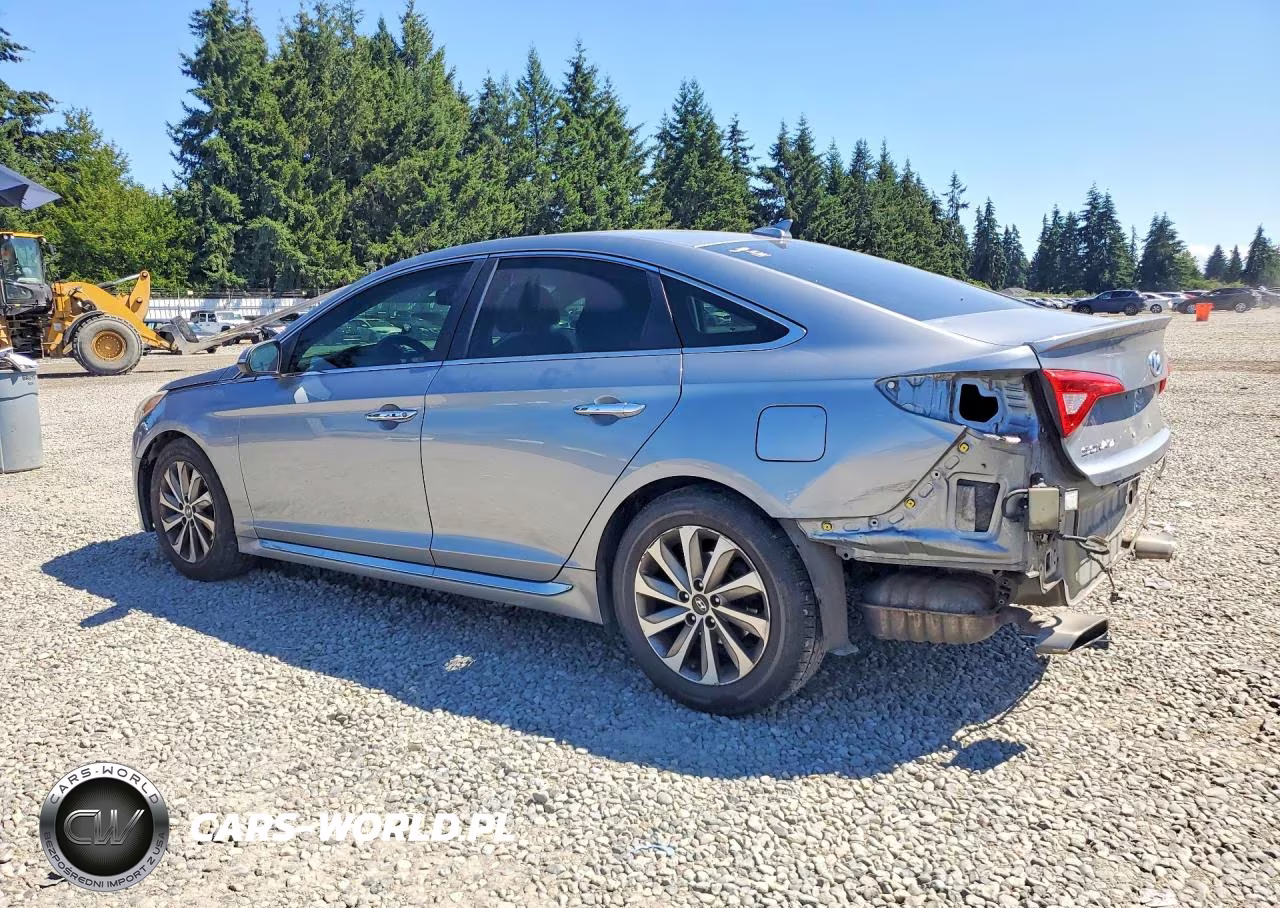 2015 Hyundai Sonata Sport VIN:5NPE34AF4FH094659 - 2