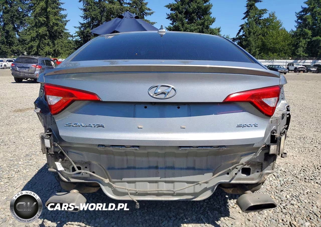 2015 Hyundai Sonata Sport VIN:5NPE34AF4FH094659 - 6