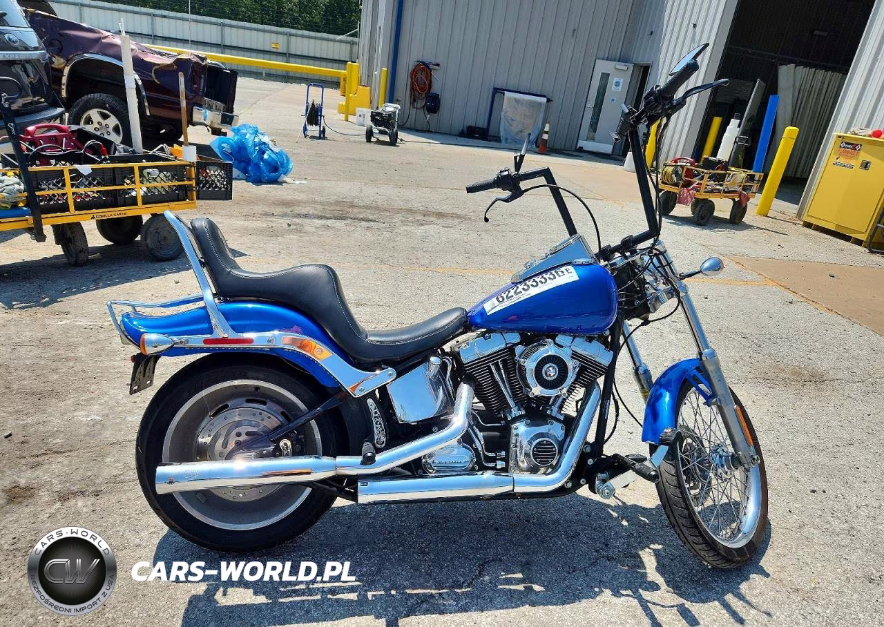 2007 Harley-Davidson Fxst Custom