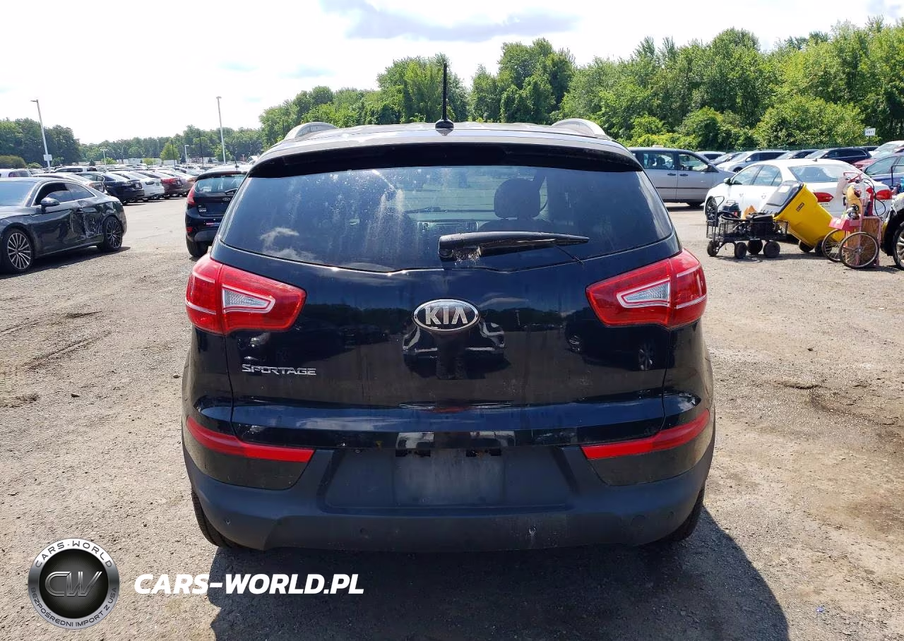 2013 Kia Sportage Lx VIN:KNDPBCA25D7354636 - 6