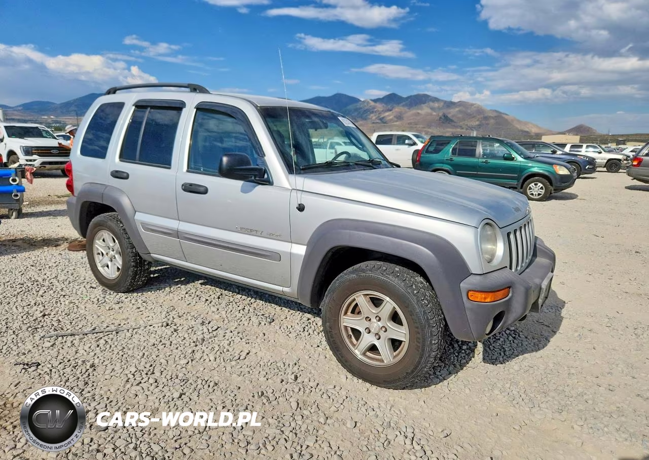 2002 Jeep Liberty Sport VIN:1J4GL48K42W334416 - 4