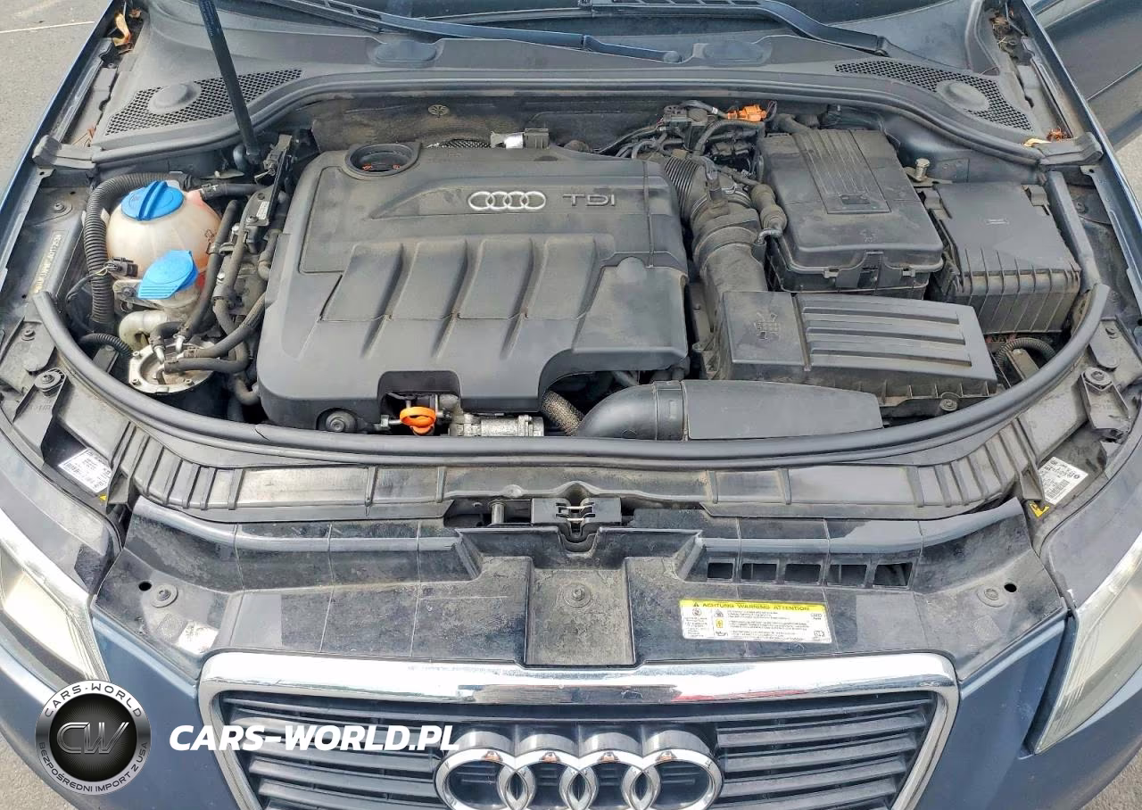 2013 Audi A3 Premium Plus VIN:WAUKJAFM7DA017252 - 11