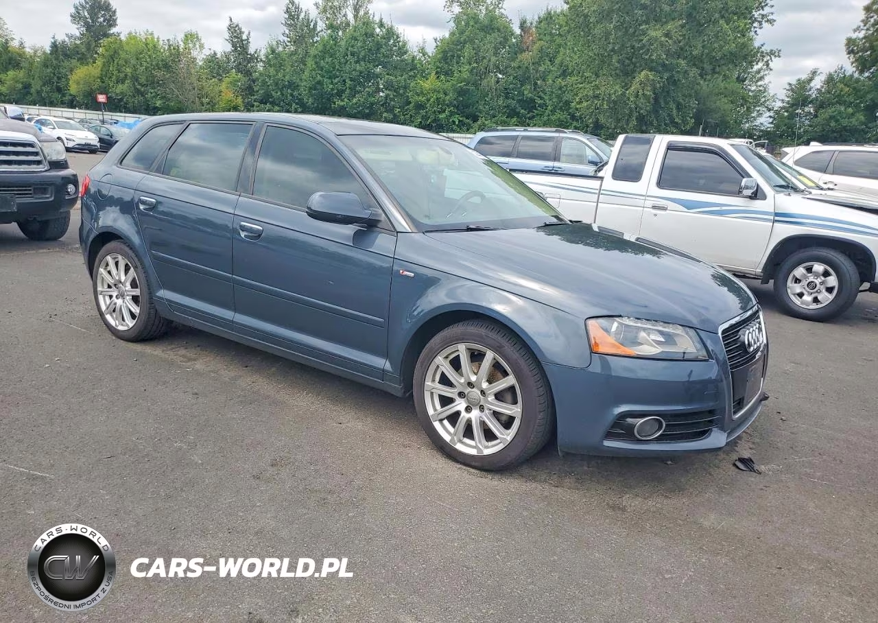 2013 Audi A3 Premium Plus VIN:WAUKJAFM7DA017252 - 4