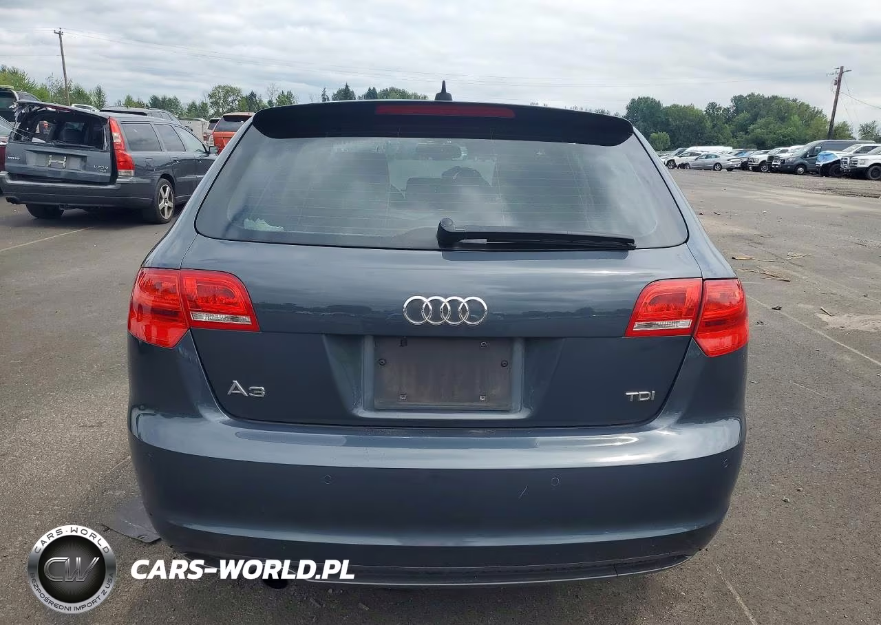 2013 Audi A3 Premium Plus VIN:WAUKJAFM7DA017252 - 6