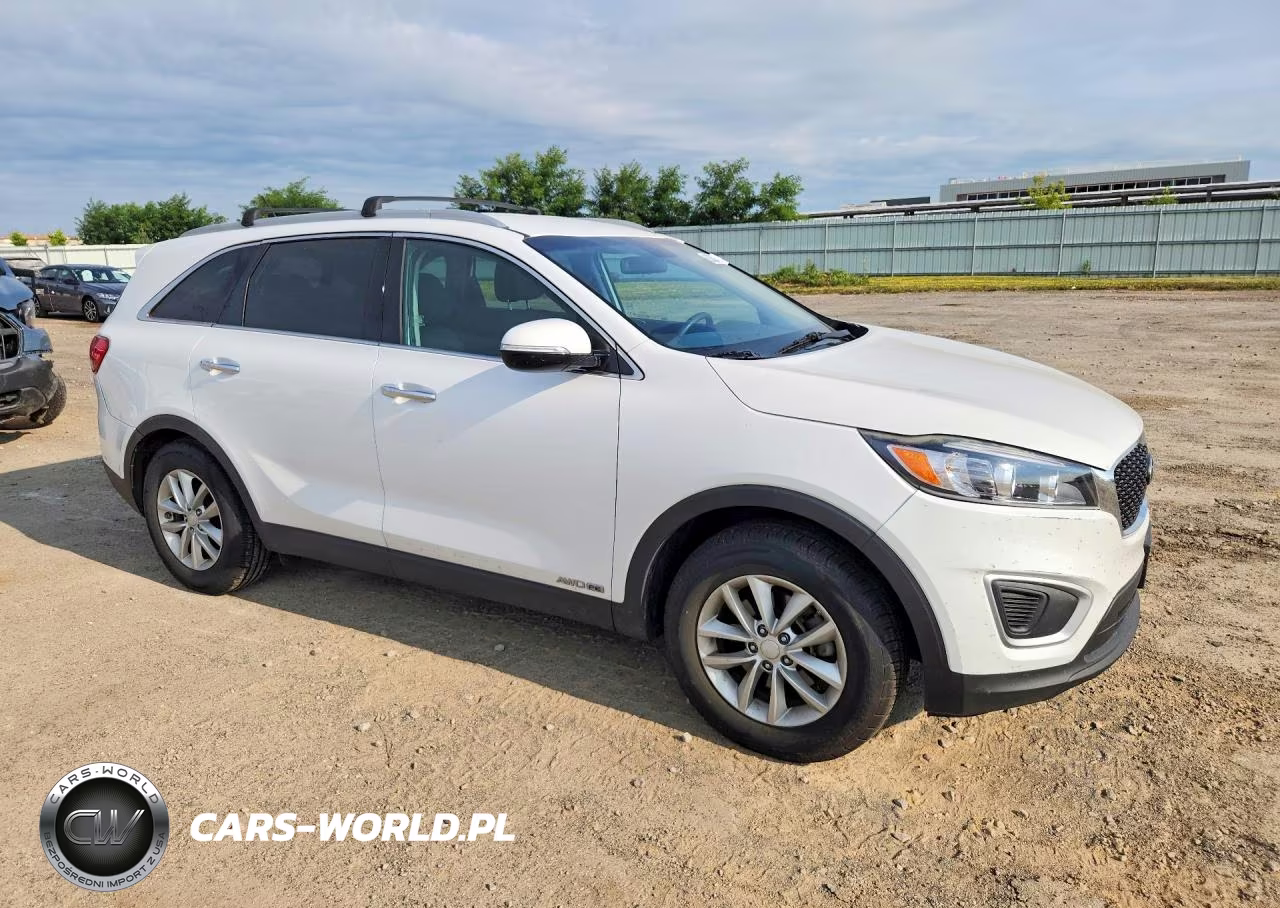 2017 Kia Sorento Lx V6 VIN:5XYPGDA52HG209676 - 4