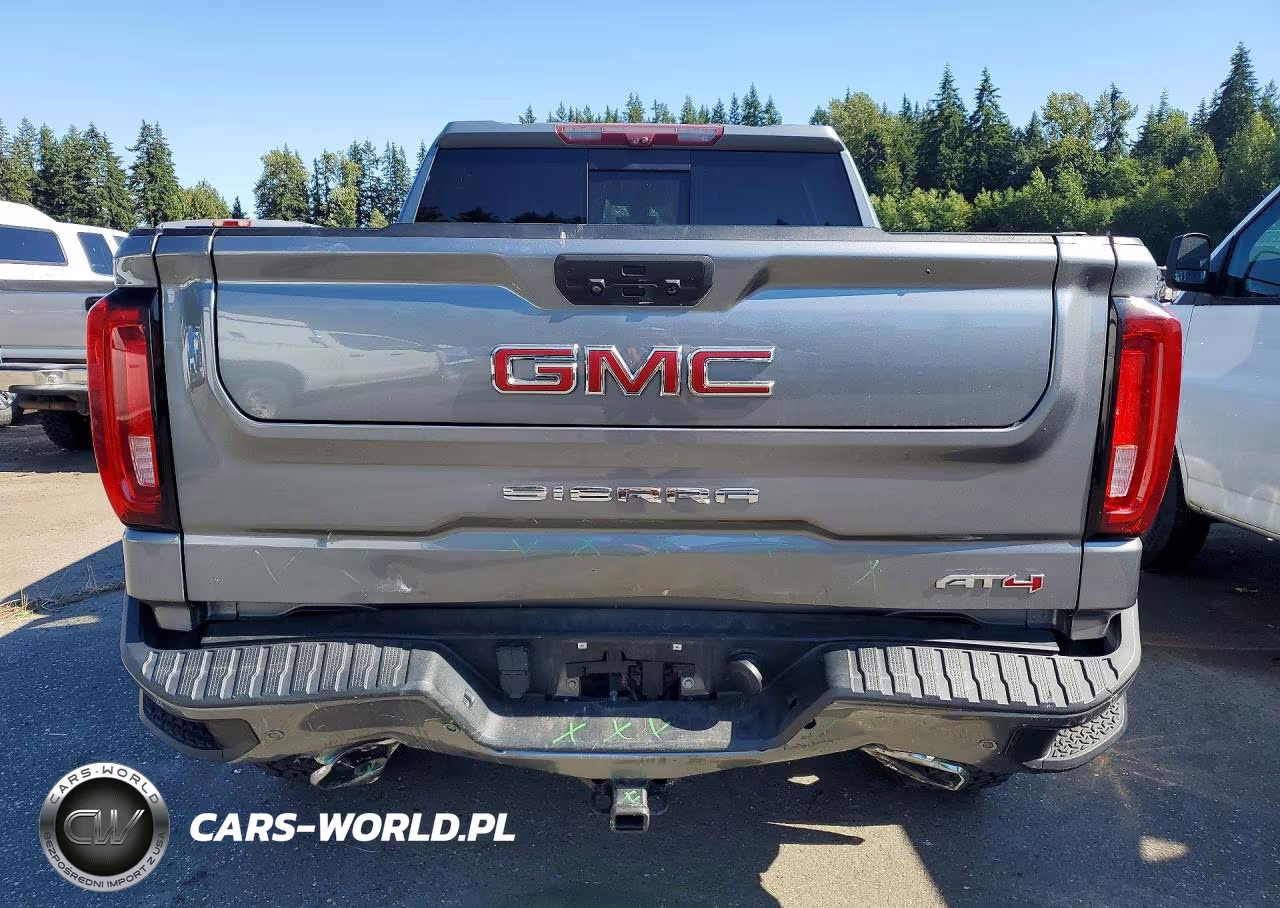 2020 GMC Sierra K1500 At4 VIN:1GTP9EED8LZ165081 - 6