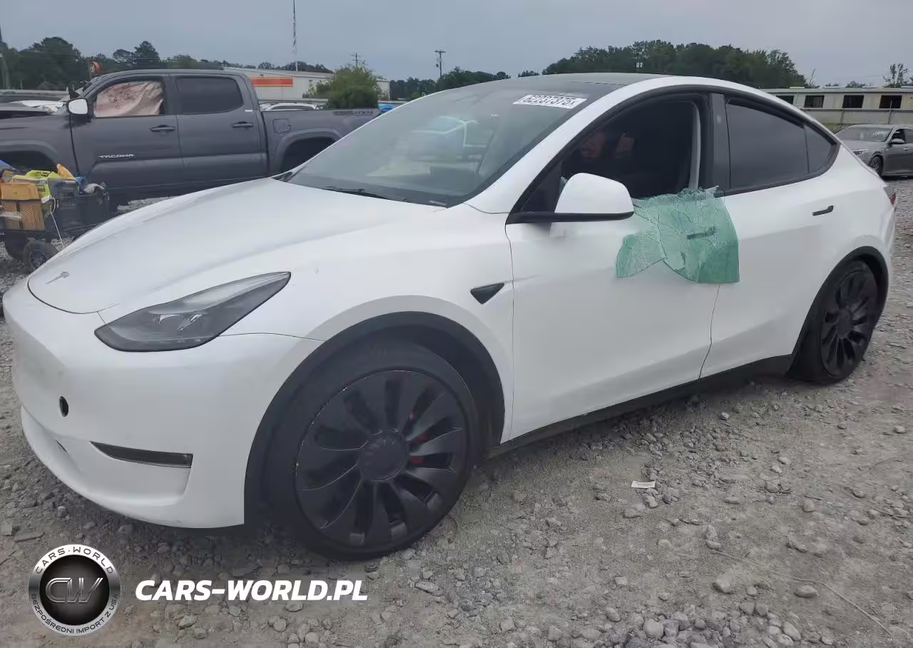 2024 Tesla Model Y