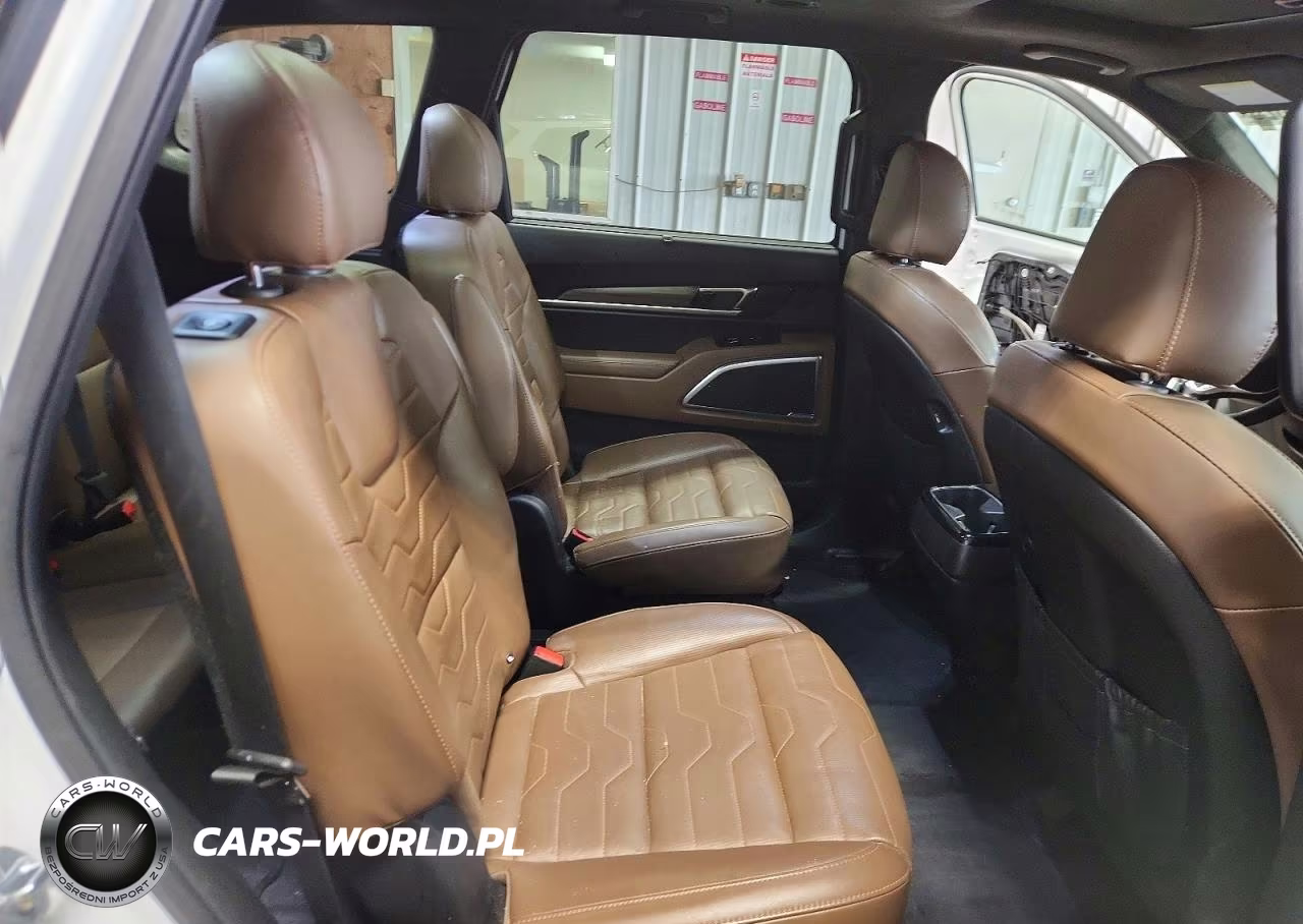 2020 Kia Telluride Sx VIN:5XYP5DHC3LG029688 - 11