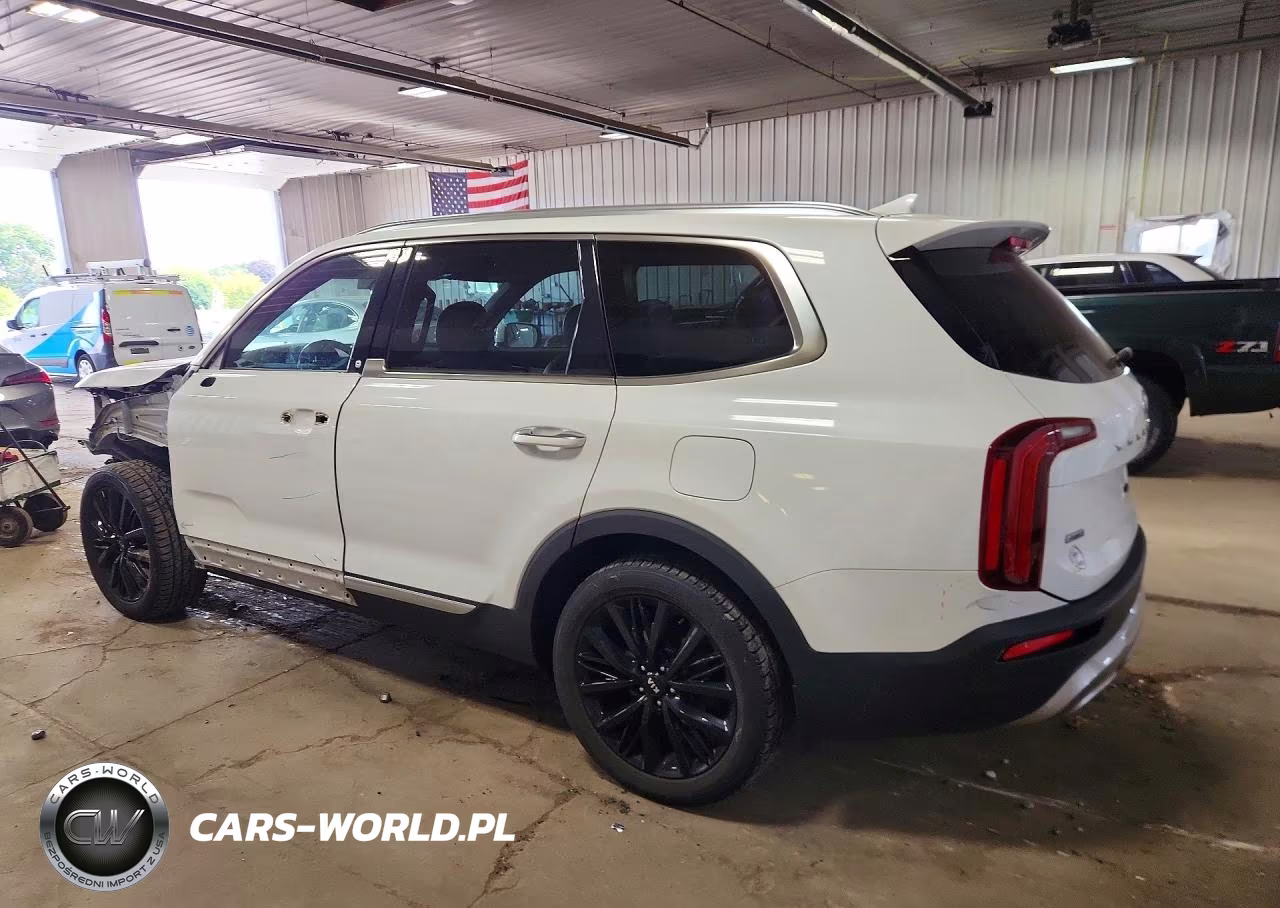 2020 Kia Telluride Sx VIN:5XYP5DHC3LG029688 - 2